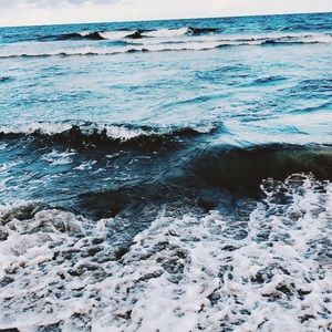 Meet your Posher, Macy